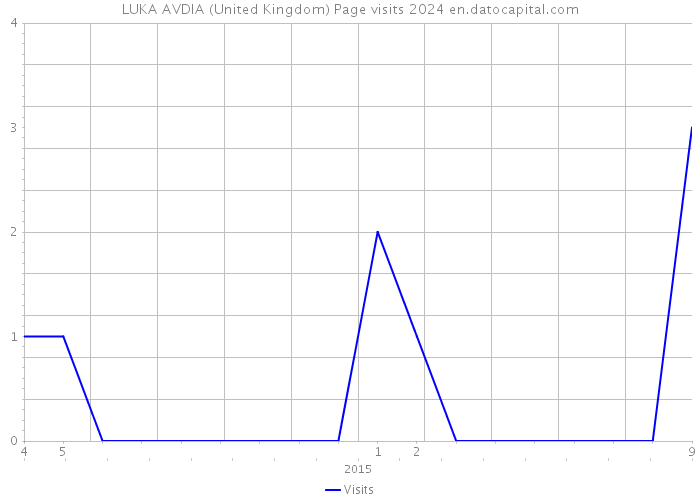 LUKA AVDIA (United Kingdom) Page visits 2024 