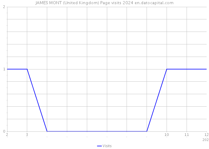 JAMES MONT (United Kingdom) Page visits 2024 