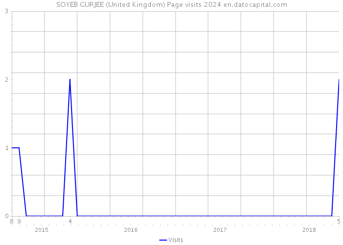 SOYEB GURJEE (United Kingdom) Page visits 2024 