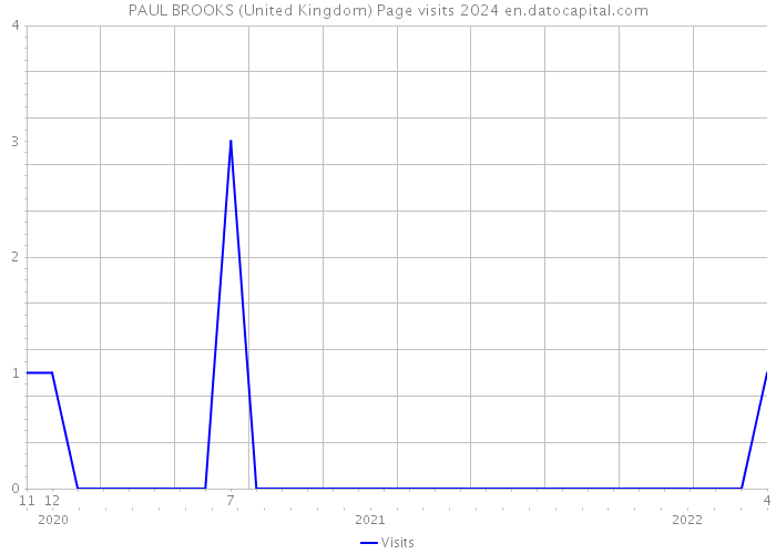 PAUL BROOKS (United Kingdom) Page visits 2024 