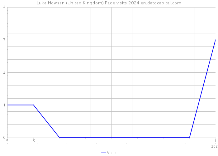 Luke Howsen (United Kingdom) Page visits 2024 