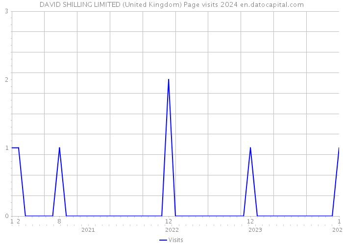 DAVID SHILLING LIMITED (United Kingdom) Page visits 2024 