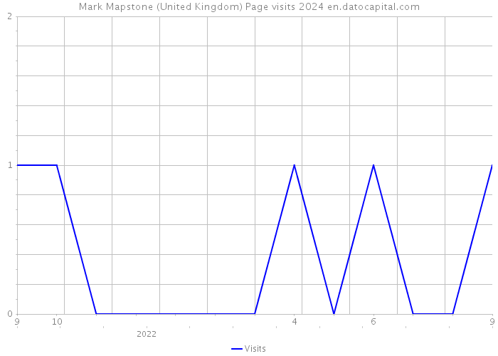 Mark Mapstone (United Kingdom) Page visits 2024 