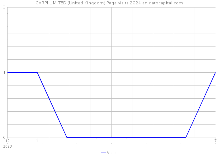 CARPI LIMITED (United Kingdom) Page visits 2024 