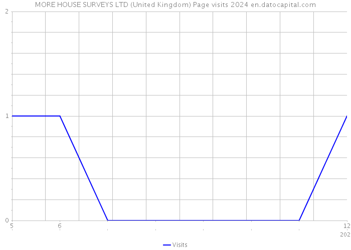 MORE HOUSE SURVEYS LTD (United Kingdom) Page visits 2024 