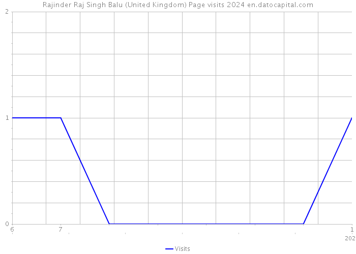 Rajinder Raj Singh Balu (United Kingdom) Page visits 2024 