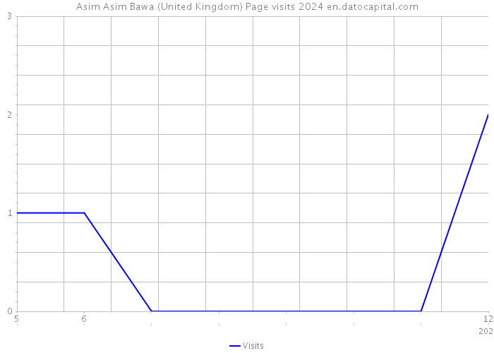 Asim Asim Bawa (United Kingdom) Page visits 2024 