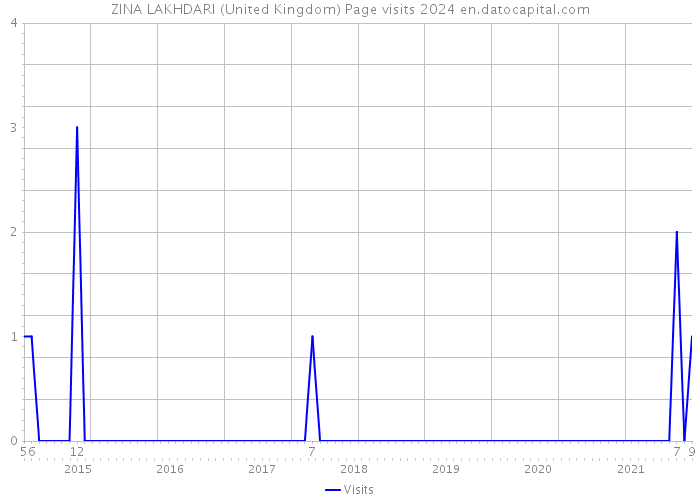 ZINA LAKHDARI (United Kingdom) Page visits 2024 