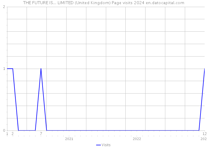 THE FUTURE IS... LIMITED (United Kingdom) Page visits 2024 