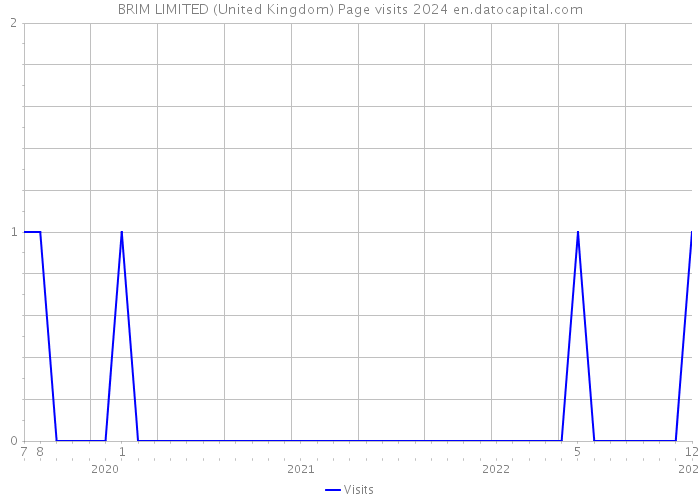 BRIM LIMITED (United Kingdom) Page visits 2024 