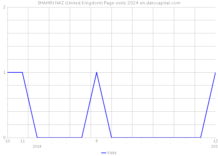 SHAHIN NAZ (United Kingdom) Page visits 2024 