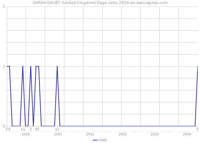 SARAH DAVEY (United Kingdom) Page visits 2024 