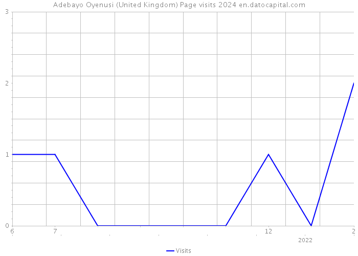 Adebayo Oyenusi (United Kingdom) Page visits 2024 
