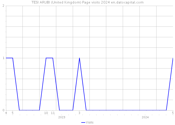 TESI ARUBI (United Kingdom) Page visits 2024 