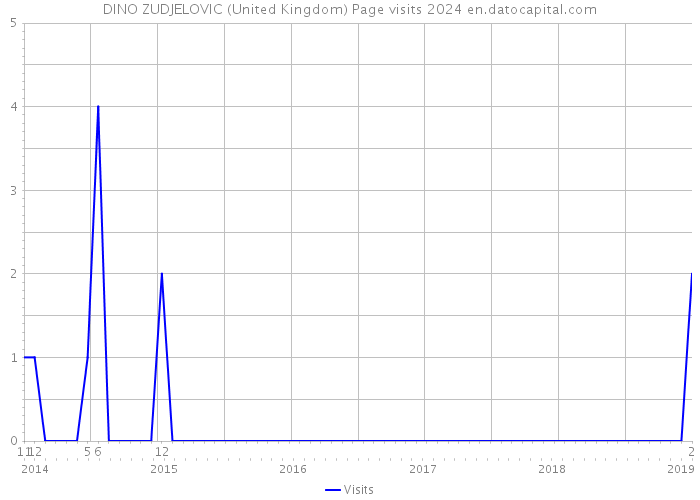 DINO ZUDJELOVIC (United Kingdom) Page visits 2024 