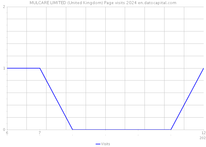 MULCARE LIMITED (United Kingdom) Page visits 2024 