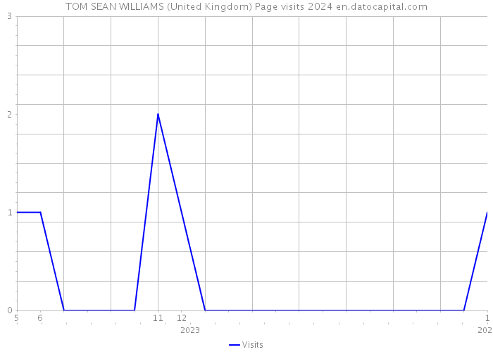TOM SEAN WILLIAMS (United Kingdom) Page visits 2024 