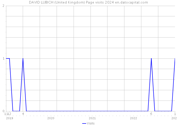 DAVID LUBICH (United Kingdom) Page visits 2024 