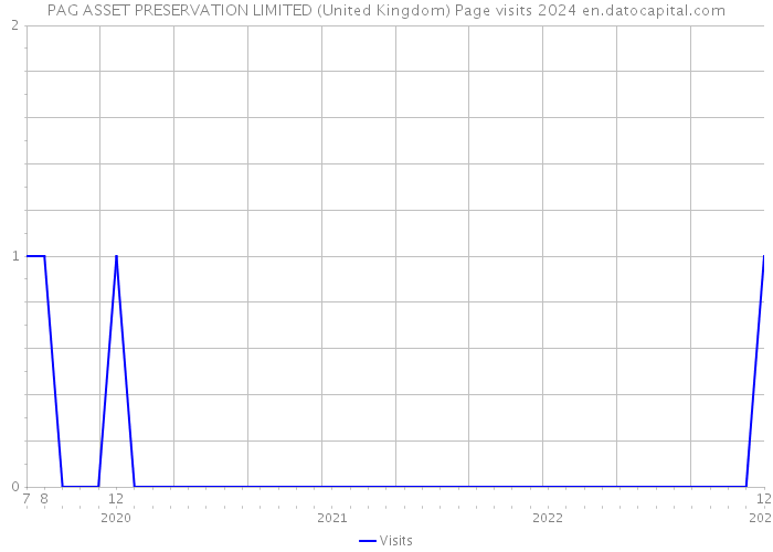 PAG ASSET PRESERVATION LIMITED (United Kingdom) Page visits 2024 