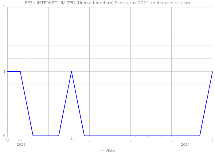 BERN INTERNET LIMITED (United Kingdom) Page visits 2024 