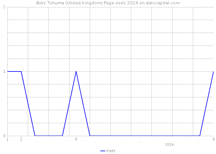 Beks Tshuma (United Kingdom) Page visits 2024 