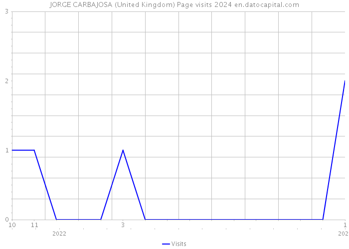 JORGE CARBAJOSA (United Kingdom) Page visits 2024 