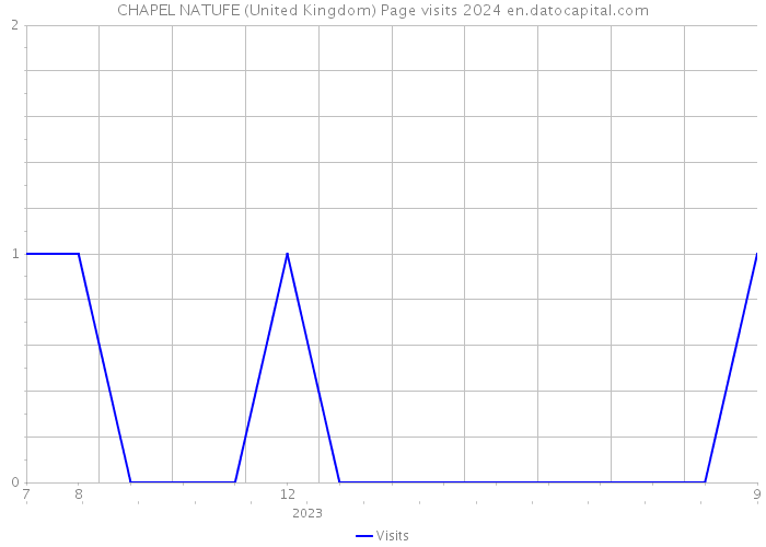 CHAPEL NATUFE (United Kingdom) Page visits 2024 