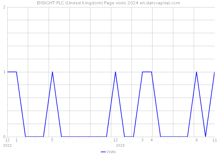 ENSIGHT PLC (United Kingdom) Page visits 2024 