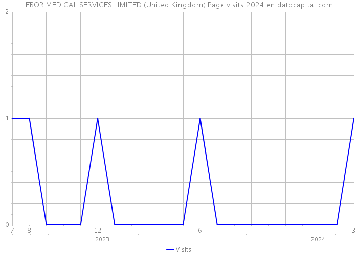 EBOR MEDICAL SERVICES LIMITED (United Kingdom) Page visits 2024 