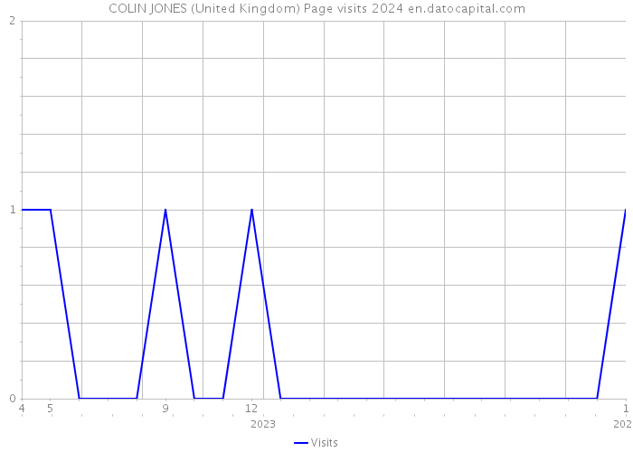 COLIN JONES (United Kingdom) Page visits 2024 