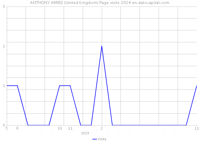 ANTHONY AMIES (United Kingdom) Page visits 2024 