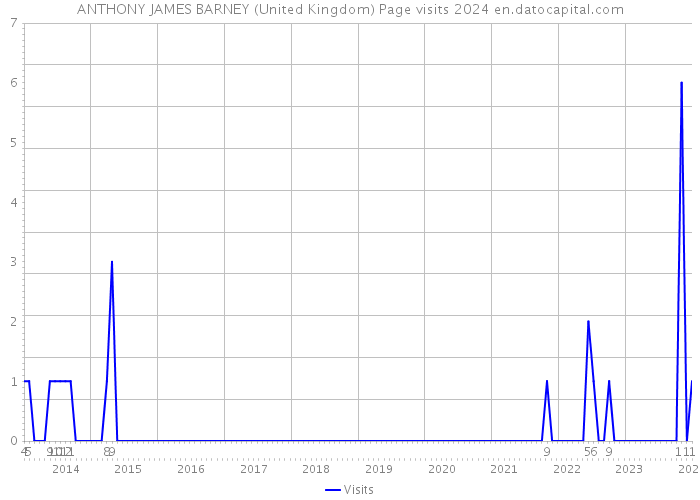 ANTHONY JAMES BARNEY (United Kingdom) Page visits 2024 