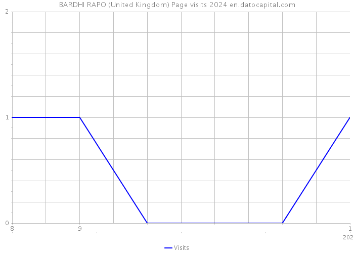 BARDHI RAPO (United Kingdom) Page visits 2024 