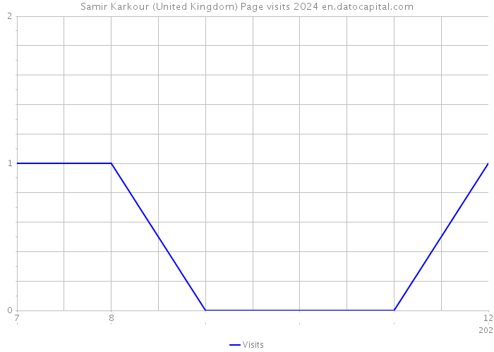 Samir Karkour (United Kingdom) Page visits 2024 