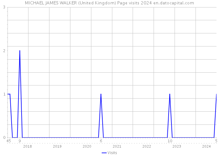 MICHAEL JAMES WALKER (United Kingdom) Page visits 2024 