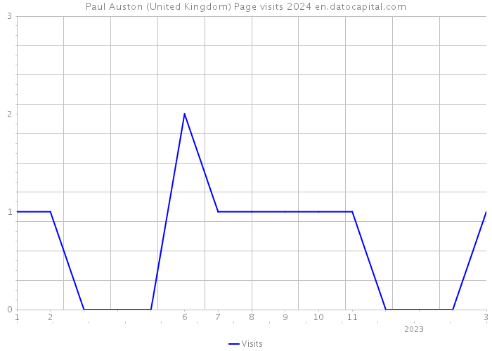 Paul Auston (United Kingdom) Page visits 2024 