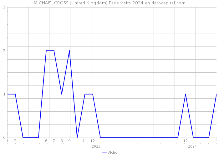 MICHAEL GROSS (United Kingdom) Page visits 2024 