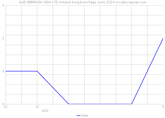 QUE HERMOSA VIDA LTD (United Kingdom) Page visits 2024 
