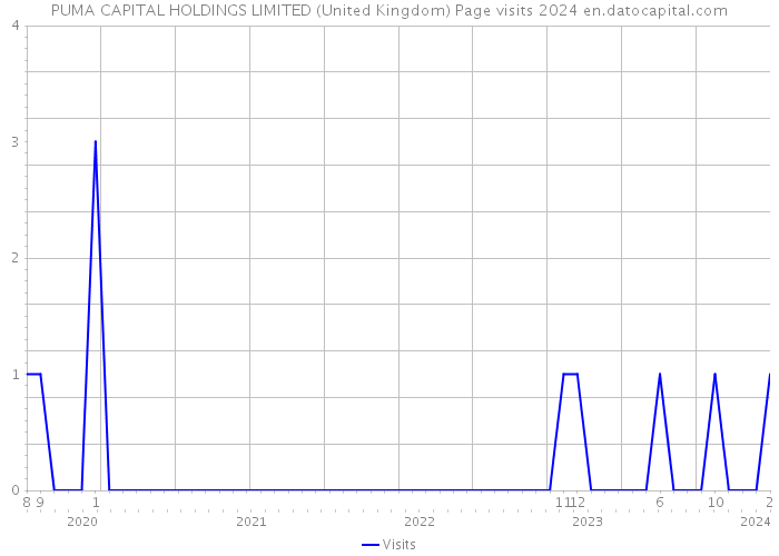PUMA CAPITAL HOLDINGS LIMITED (United Kingdom) Page visits 2024 