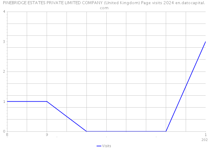 PINEBRIDGE ESTATES PRIVATE LIMITED COMPANY (United Kingdom) Page visits 2024 