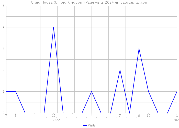 Craig Hodza (United Kingdom) Page visits 2024 