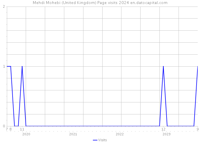 Mehdi Mohebi (United Kingdom) Page visits 2024 