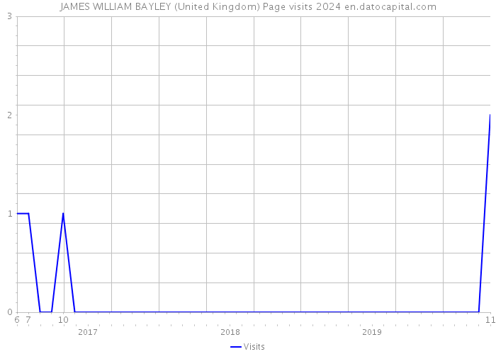 JAMES WILLIAM BAYLEY (United Kingdom) Page visits 2024 