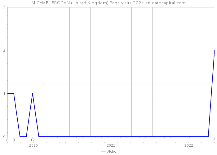 MICHAEL BROGAN (United Kingdom) Page visits 2024 