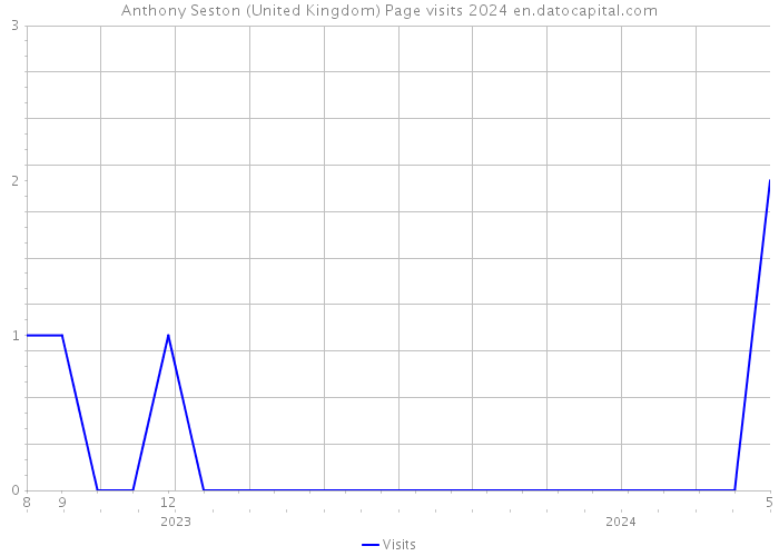 Anthony Seston (United Kingdom) Page visits 2024 
