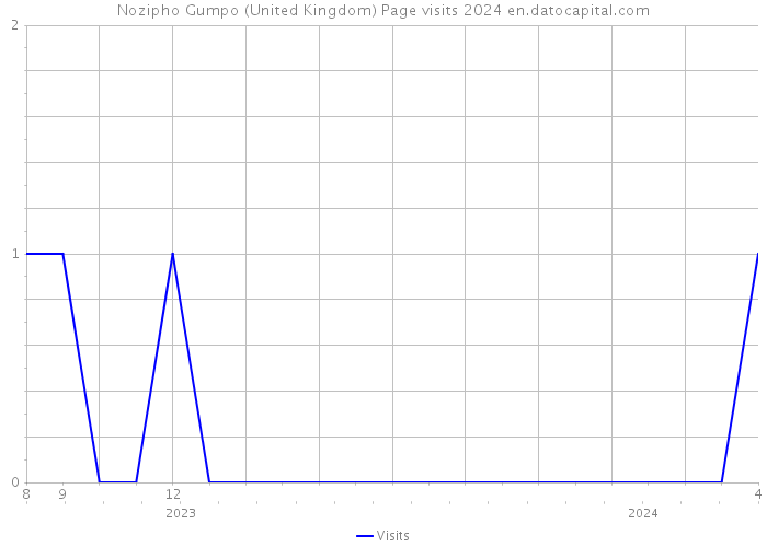 Nozipho Gumpo (United Kingdom) Page visits 2024 