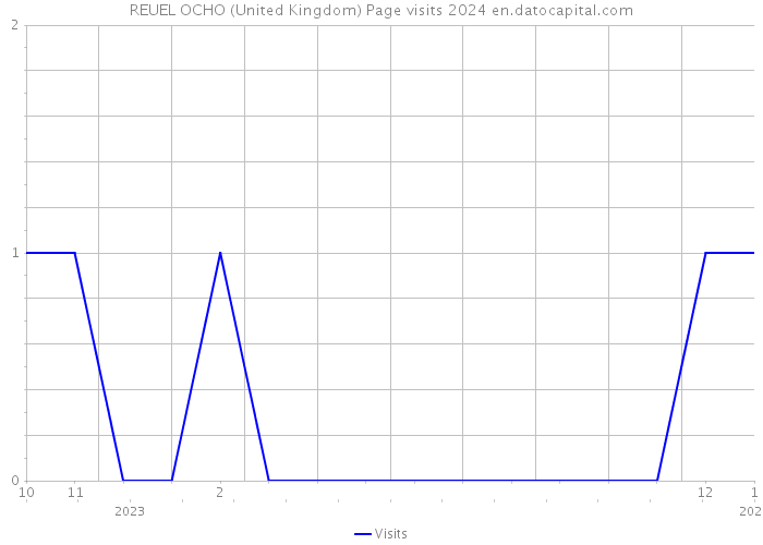 REUEL OCHO (United Kingdom) Page visits 2024 
