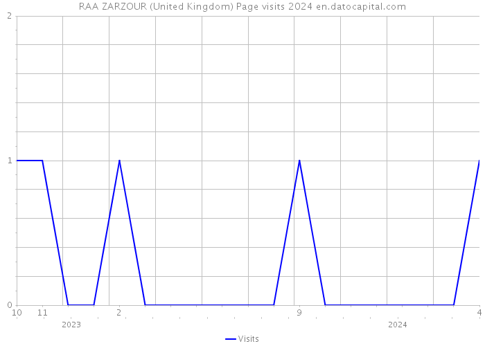 RAA ZARZOUR (United Kingdom) Page visits 2024 
