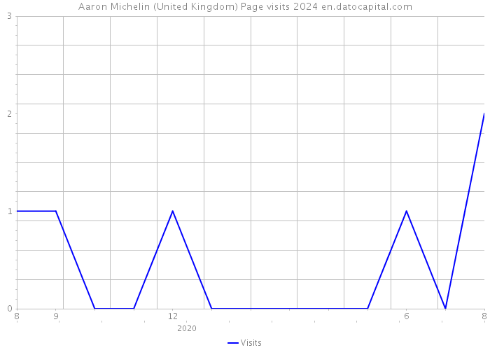 Aaron Michelin (United Kingdom) Page visits 2024 