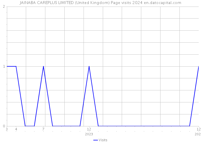 JAINABA CAREPLUS LIMITED (United Kingdom) Page visits 2024 